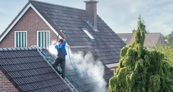 Limpieza de musgo en tejados en Gandía 46700 y mantenimiento de canalones